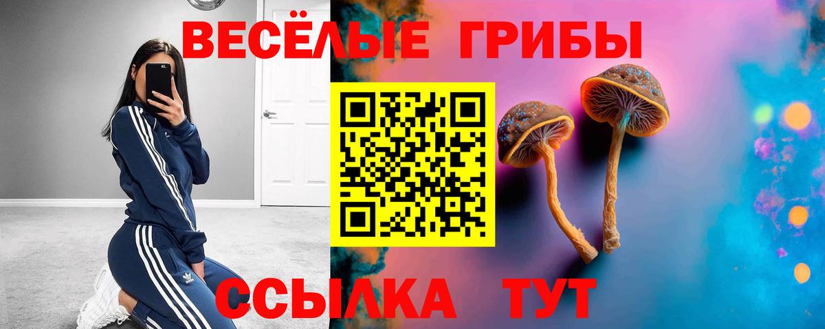Псилоцибиновые грибы Cubensis Мыски